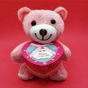 Toptan Aşk Mesajlı Peluş Ayıcık | 365 Günlük Romantik Hediye